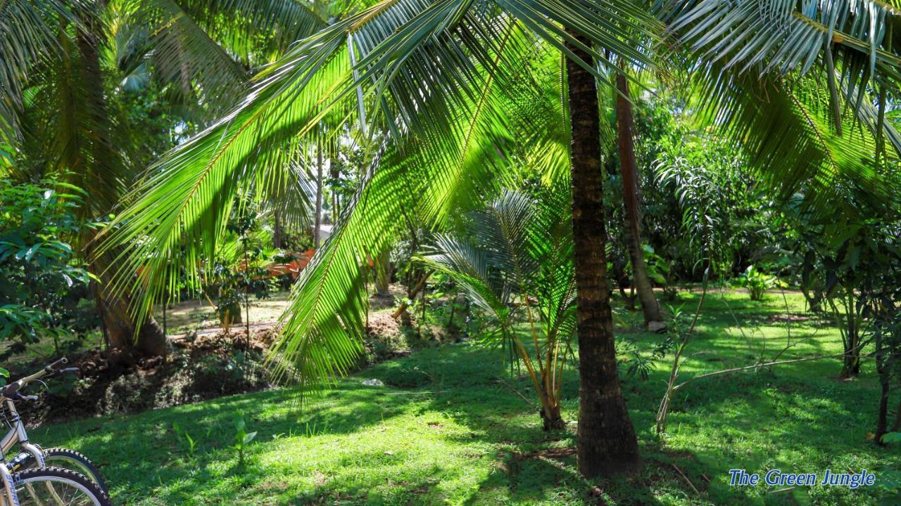 The Green Jungle Dambulla Eksteriør bilde
