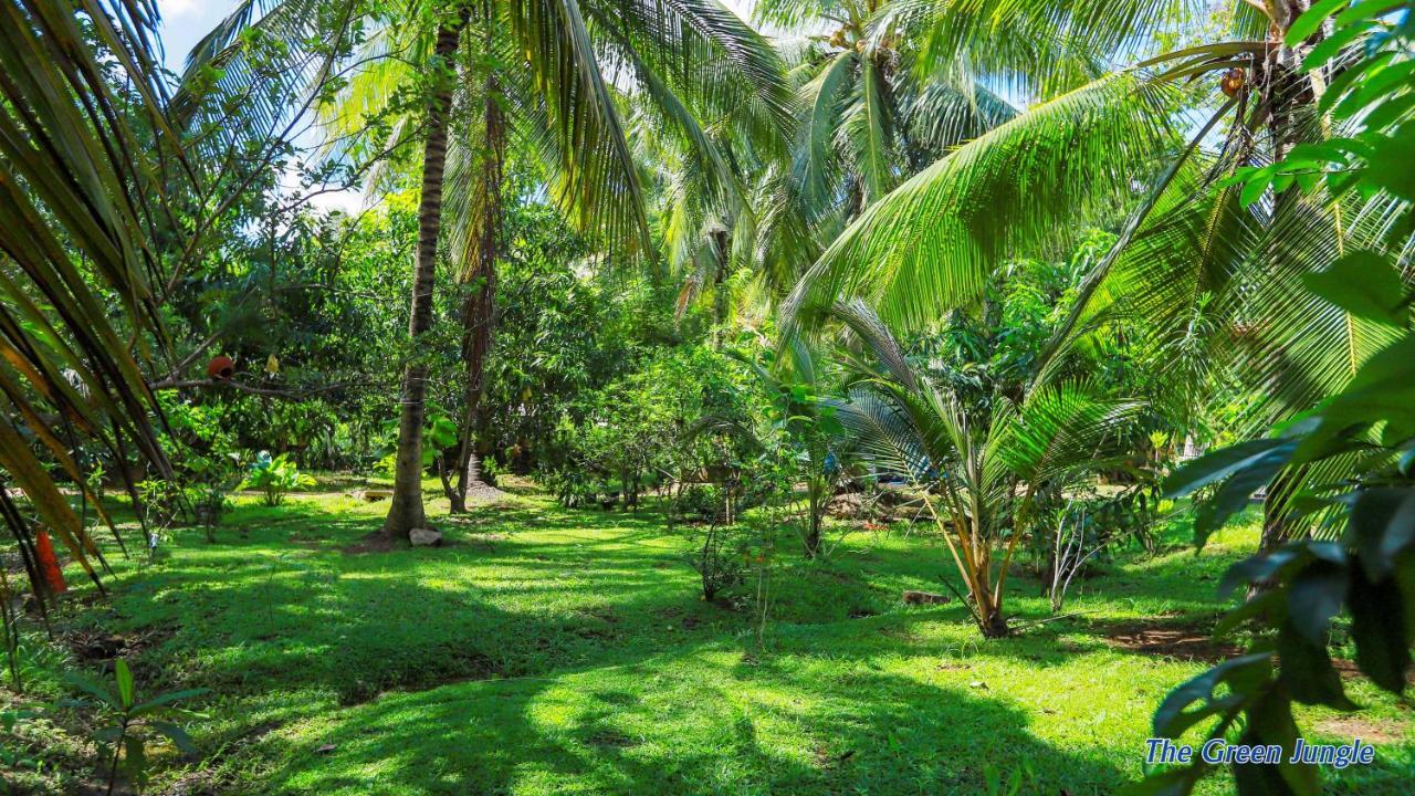 The Green Jungle Dambulla Eksteriør bilde